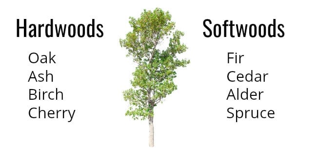 List of hardwood and softwood trees