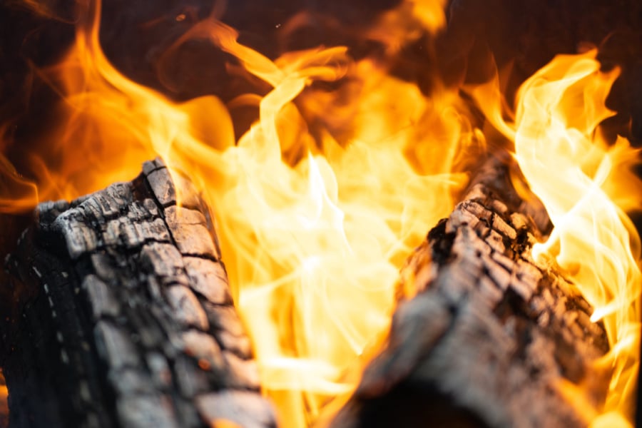 What is the difference between seasoned firewood and wet wood?